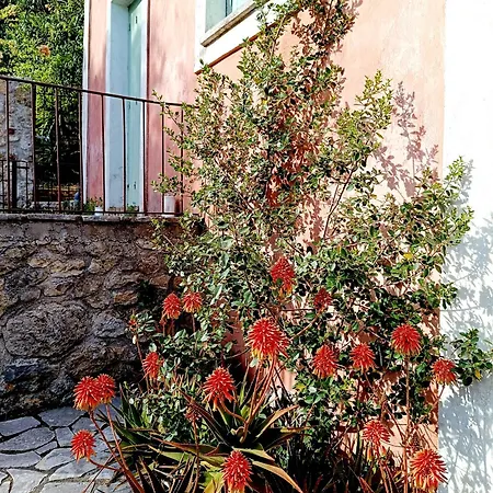 Aga's Seaview * Ágios Márkos